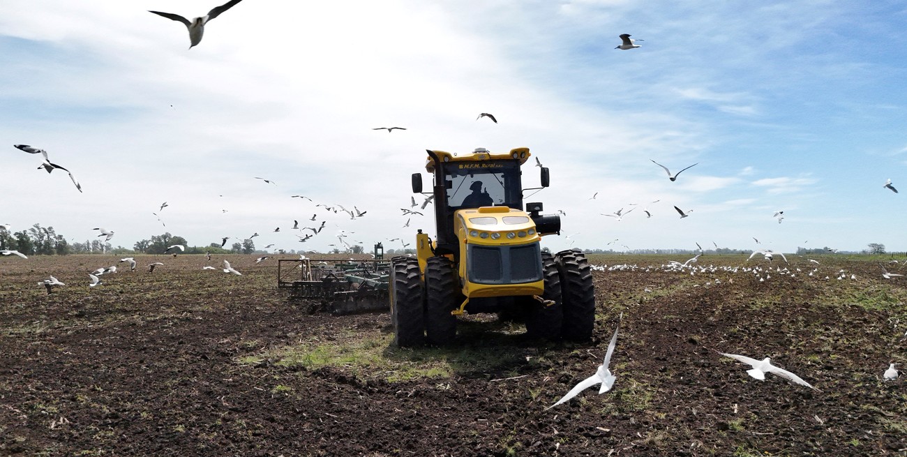 Ventas de maquinaria agrícola 2025: récords y desafíos en el sector