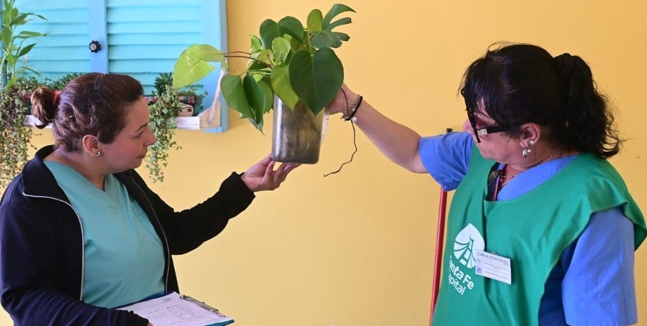 Dengue: confirman la presencia del mosquito transmisor en 32 barrios de la ciudad de Santa Fe