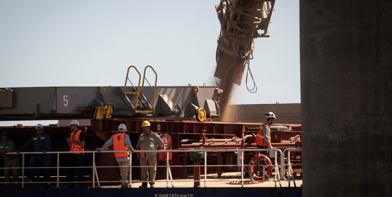 La campaña de trigo 2025/26 arrancó con exportaciones récord en diciembre