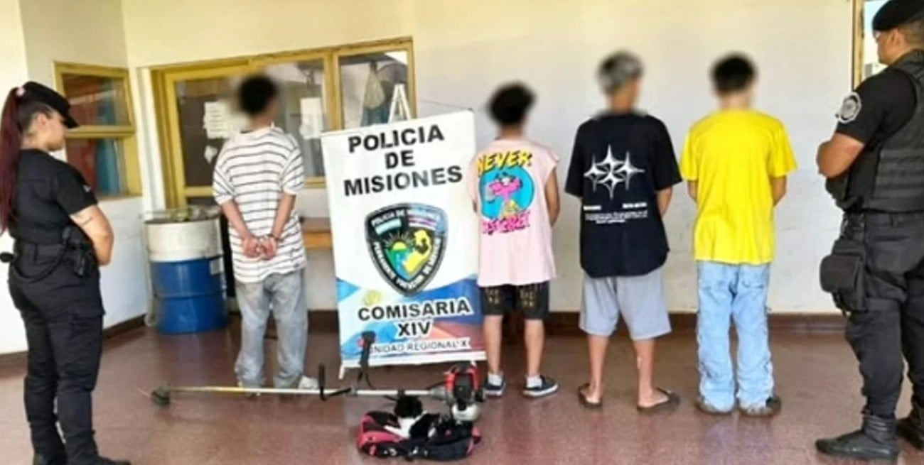 Misiones: amenazó con asfixiar a un caniche para evitar su detención