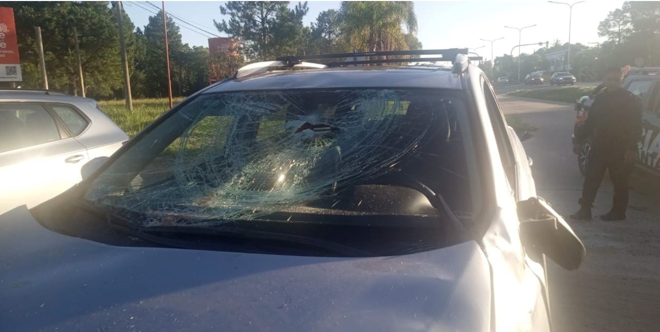 En la ruta 1: la fiscal Peresín chocó en su automóvil contra un caballo; resultó ilesa 