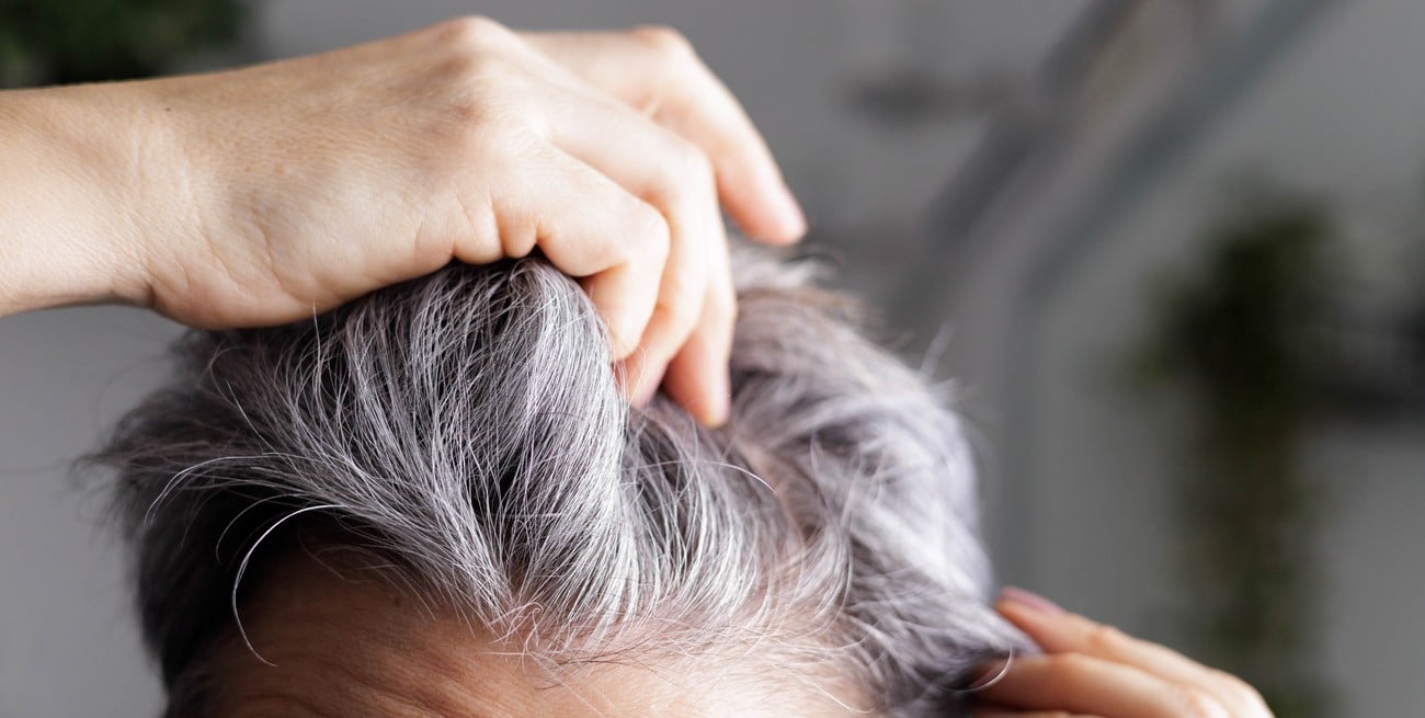 ¿Por qué salen canas? Un estudio revela su posible vínculo con la defensa contra el cáncer