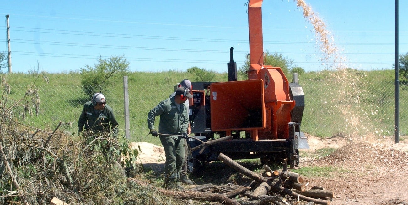 Nueva “Estación Verde” en Colastiné Norte acopia ramas, troncos y restos de poda