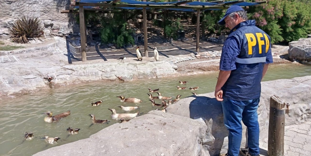 Allanaron un parque marino de Mar del Plata por presunta contaminación