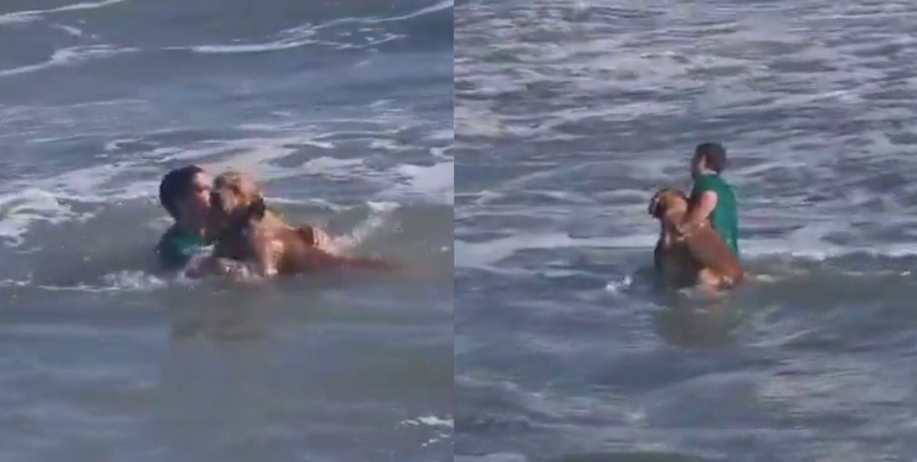 Rescate en Playa Grande: un vecino de Mar del Plata salva a un perro arrastrado por la corriente