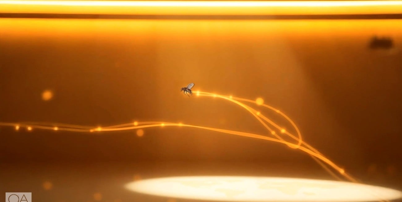 Notas sobre lo que retorna, aunque lo demos por perdido