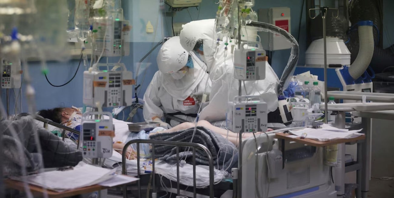 Hallan una posible vía para combatir el hongo hospitalario Candida auris, resistente y letal