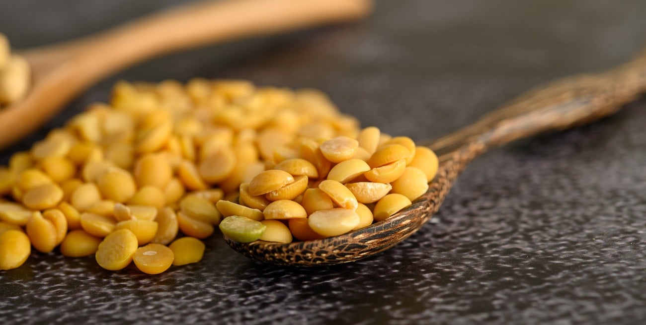 Lupino: la legumbre olvidada que podría convertirse en el superalimento del futuro
