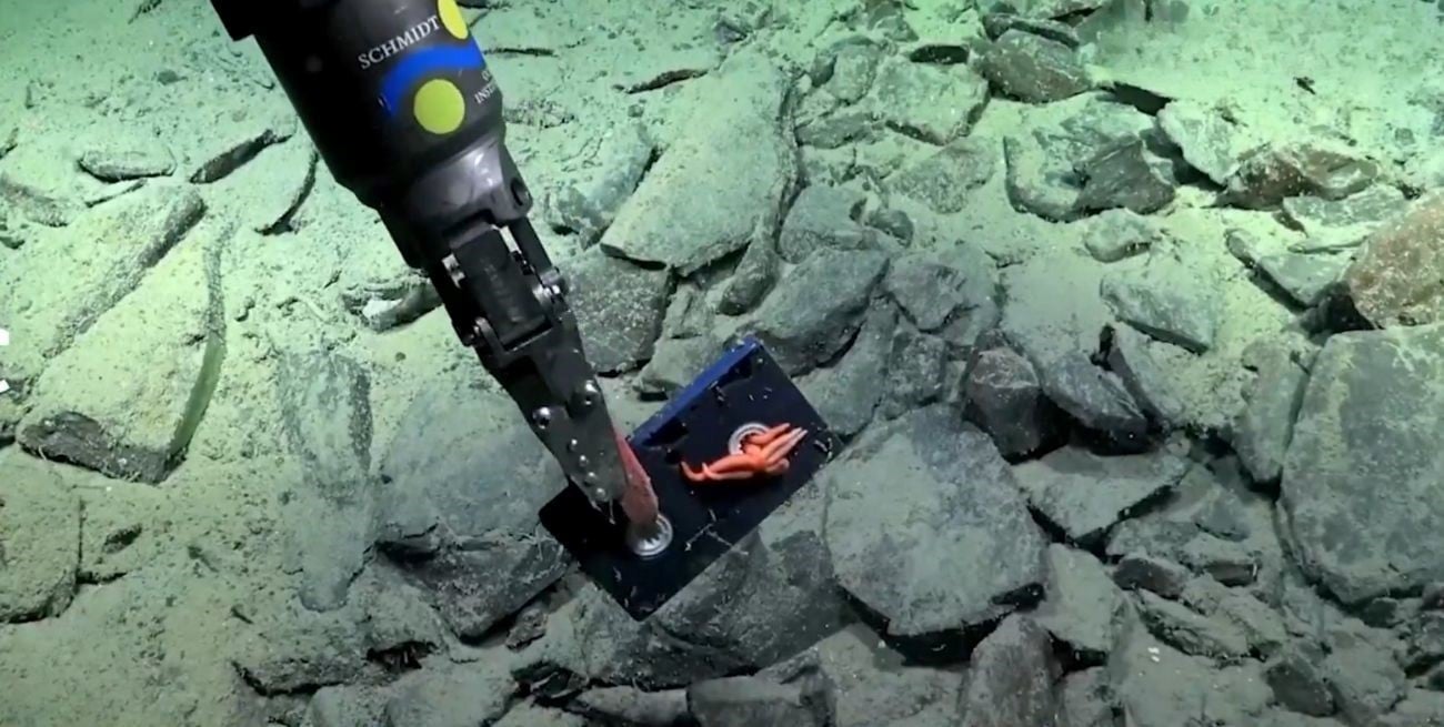 Hallazgo insólito: durante el streaming del CONICET, encontraron un VHS el fondo del mar 