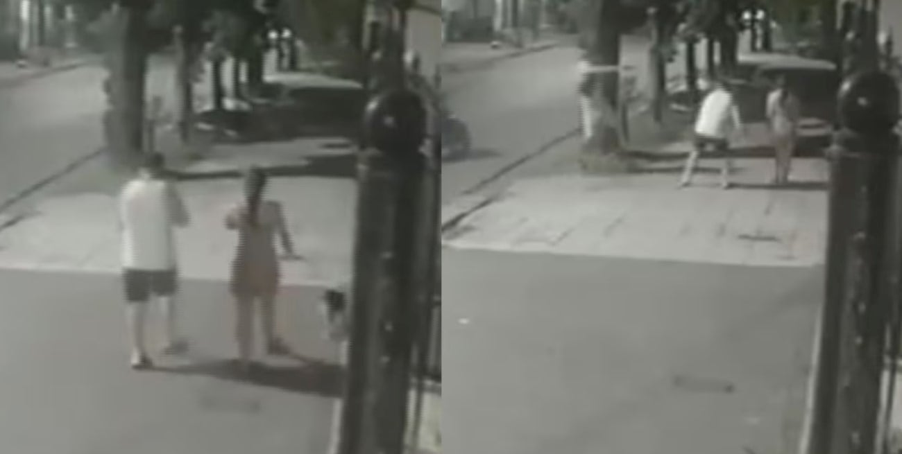 Video: motochorros balearon a una joven en la cabeza mientras paseaba a su perro