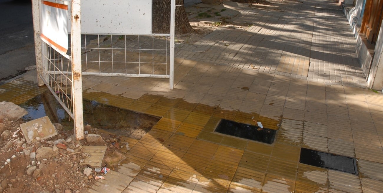 El Enress sistematiza datos y crea "competencia" entre prestadores