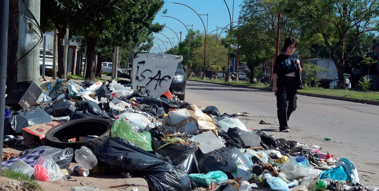 Insólito: un microbasural en la puerta de una de las empresa de recolección
