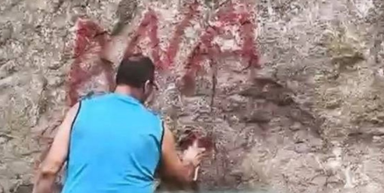 Escracharon a un camionero mientras “graffiteaba” rocas milenarias en Valle Encantado