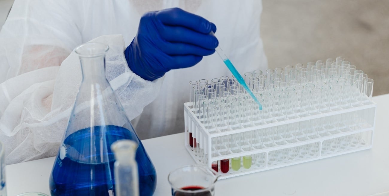 Científicos de Israel identifican un mecanismo clave para la regeneración de tejidos
