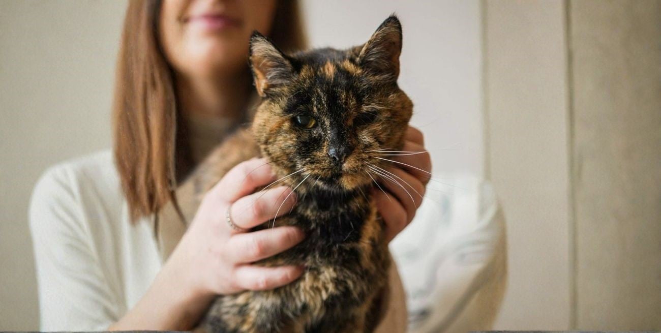 Flossie, la gata más longeva del mundo cumple 30 años y sigue rompiendo récords