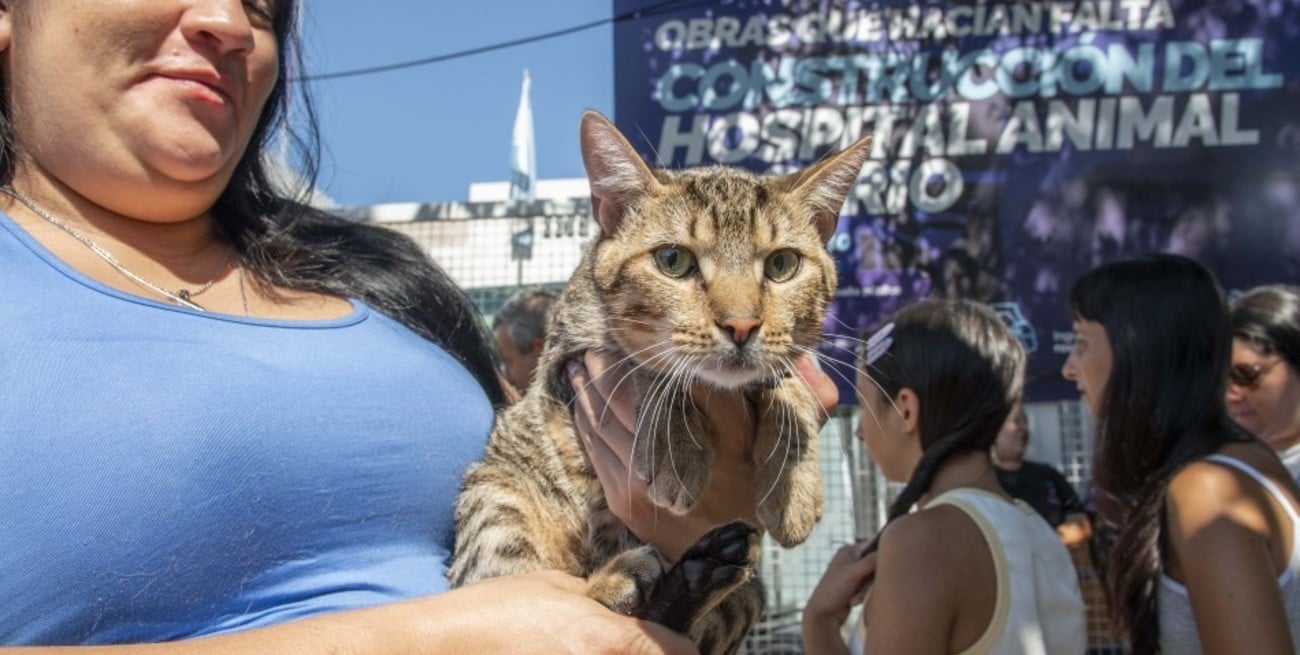 Rosario avanza con el Hospital Animal y amplía la infraestructura de salud veterinaria pública