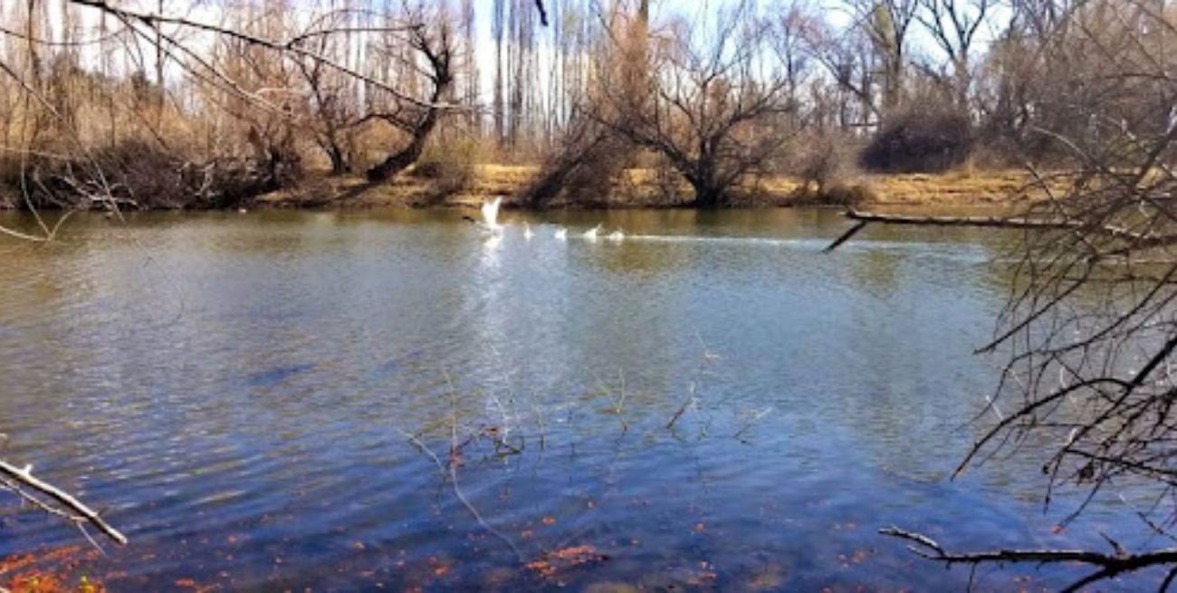Tragedia en Neuquén: un adolescente de 14 años murió ahogado en el río Limay