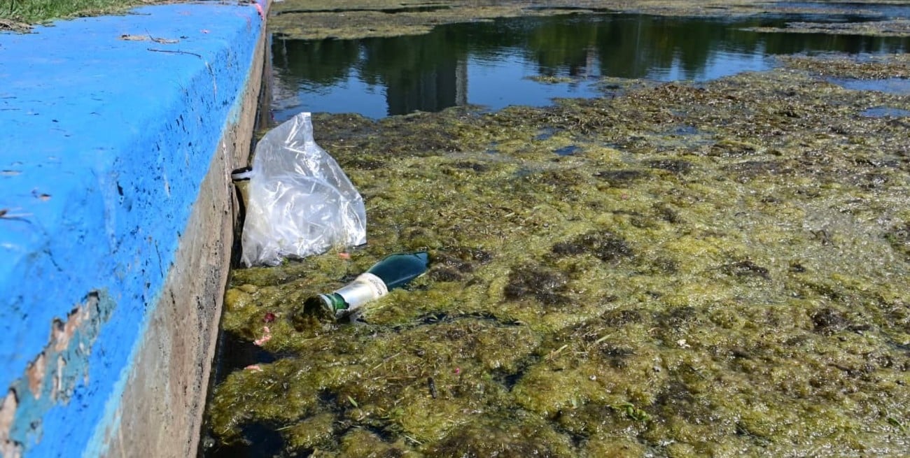 Parque Sur: denuncian aguas contaminadas y falta de mantenimiento en los piletones
