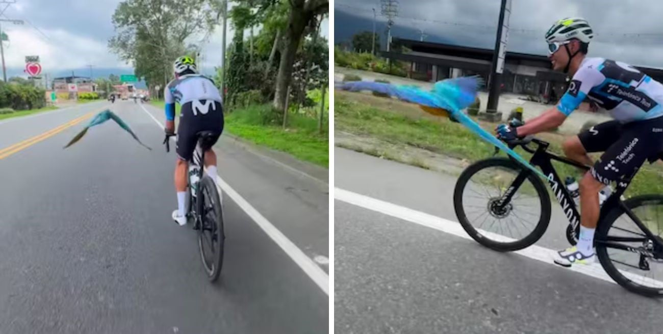 Es viral: un ciclista entrenó “escoltado” por una guacamaya y el video explotó en redes