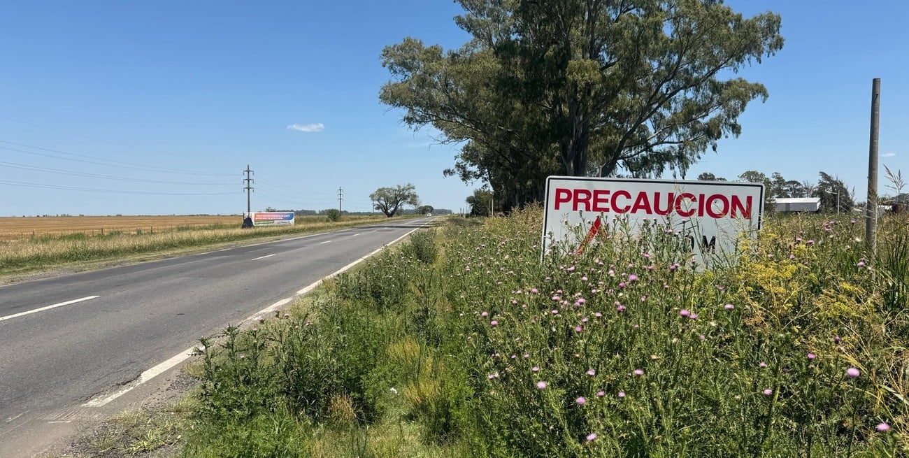 Di Gregorio advirtió por el riesgo vial en las rutas 8 y 33