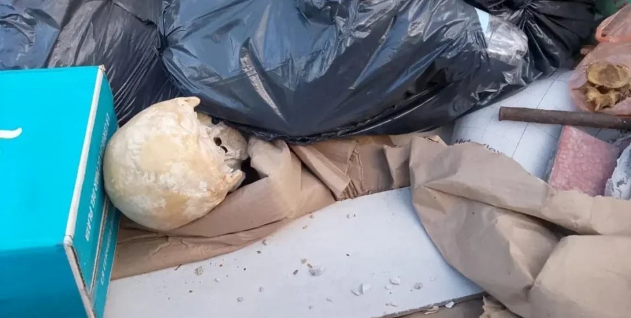 Hallaron un cráneo humano en un contenedor de basura en Mar del Plata