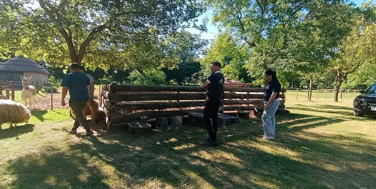 Procedimiento policial en un complejo de cabañas en Colastiné Norte por supuesto maltrato animal