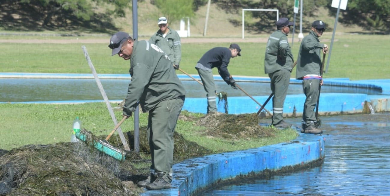 Parque Sur: refuerzan la limpieza tras la aparición de algas en el lago y piletones