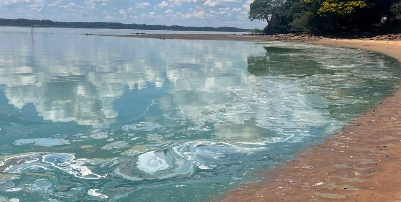Alerta por cianobacterias en el río Uruguay: impacto ambiental, sanitario y turístico