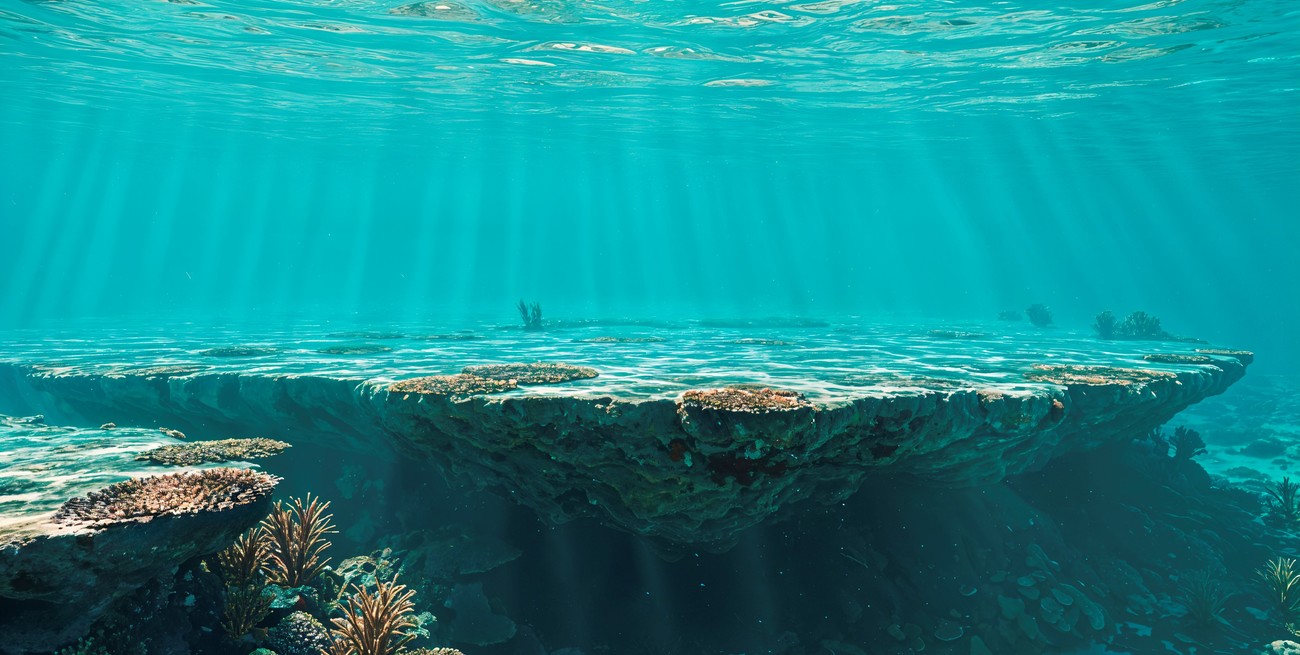 Calor sin precedentes en los océanos: advierten por más fenómenos climáticos extremos