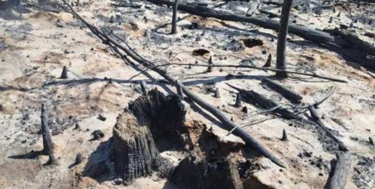 Confirmaron que los incendios en Chubut fueron provocados: ya hay más de 3.500 hectáreas arrasadas