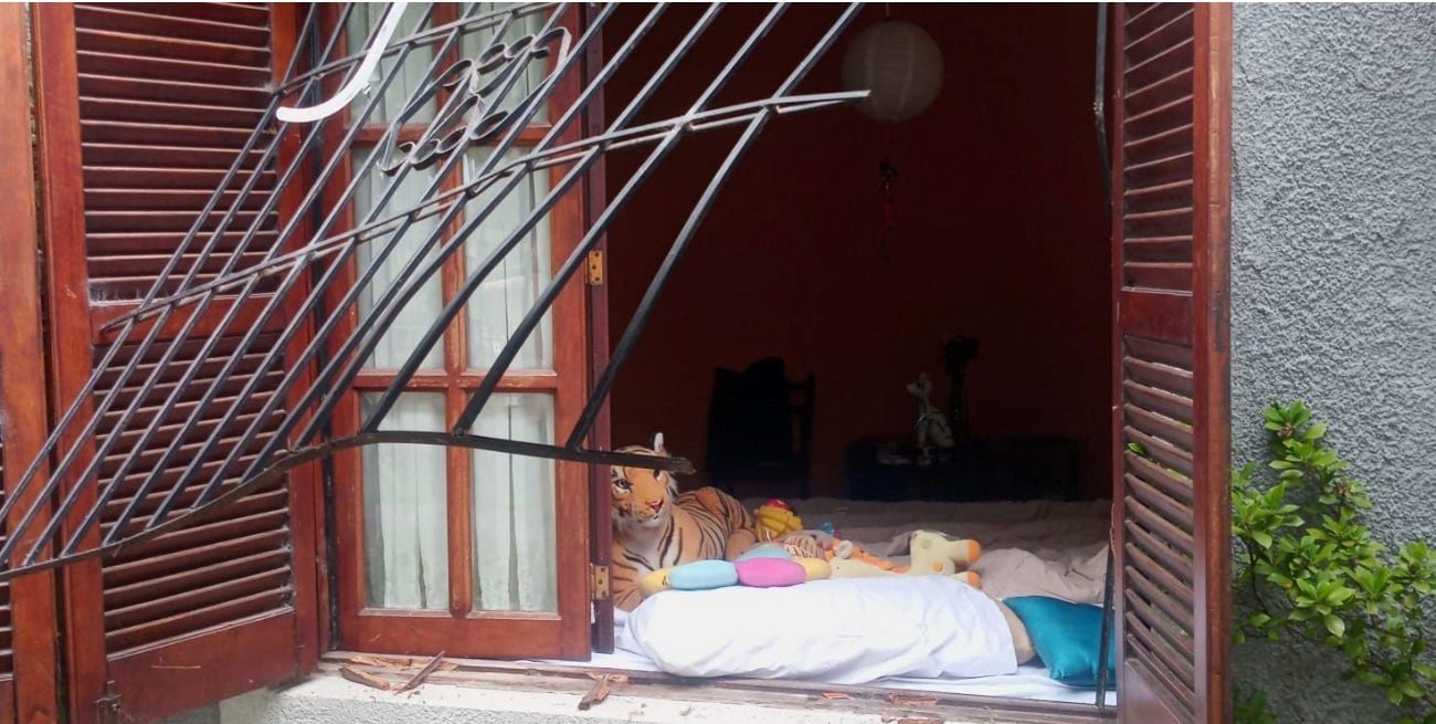 Robó un televisor, un vecino lo descubrió y puso en fuga al ladrón