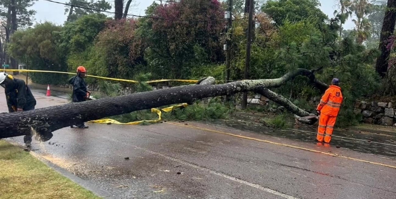 Un ciclón extratropical provocó cortes de luz, daños y caos en el sureste de Uruguay