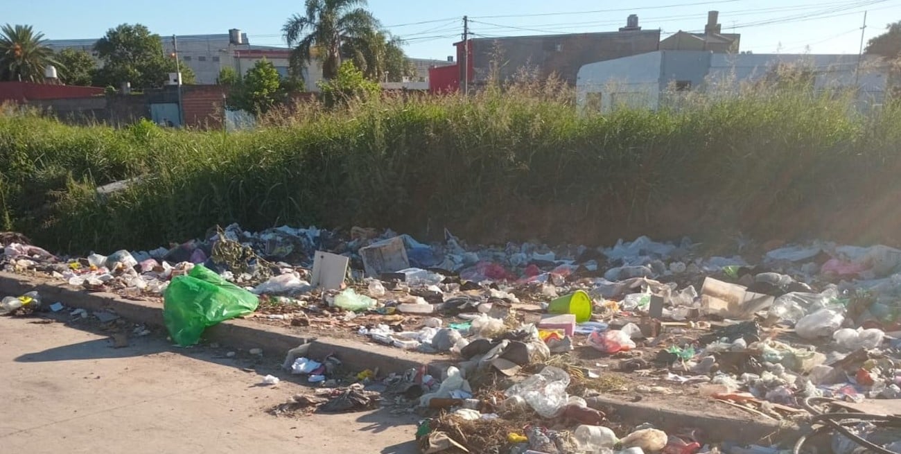 “No se puede vivir del olor”; el reclamo de una vecina del norte de la ciudad