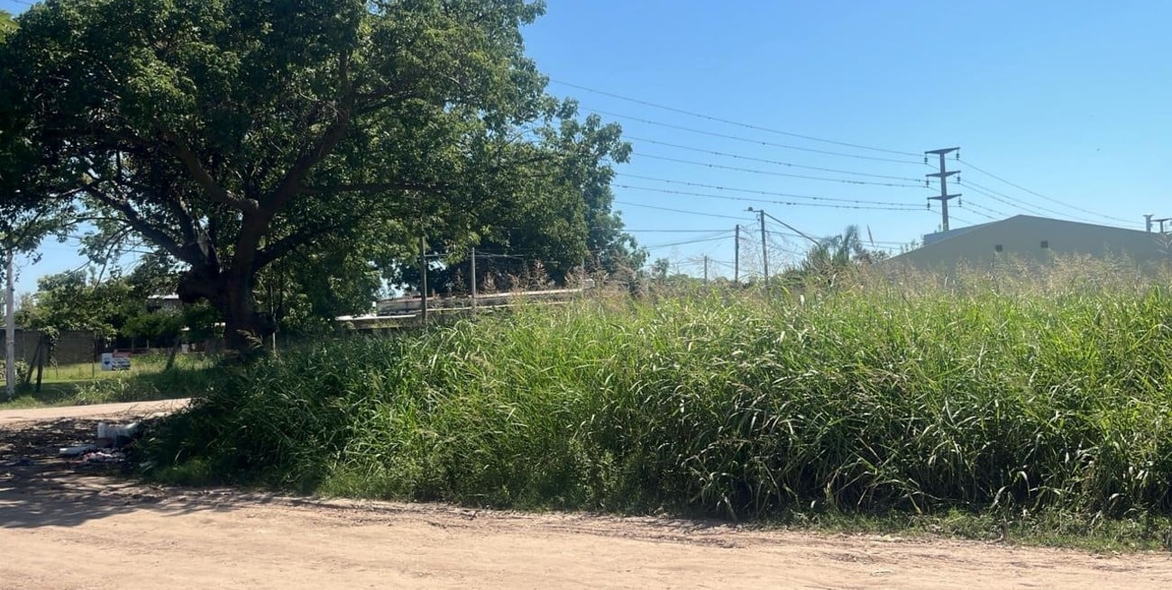 Vecinos de Liceo Norte reclaman mejoras urbanas básicas
