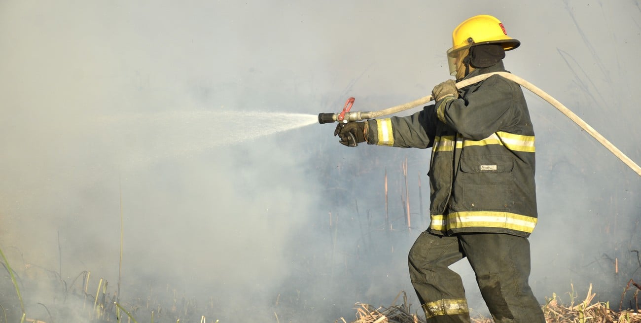La mayoría se producen por acción humana: ¿Cómo se prepara Santa Fe ante posibles incendios?