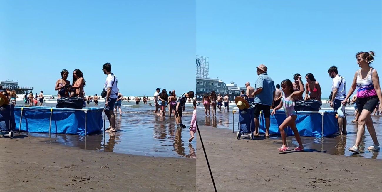 Curiosa postal en Mar del Plata: apareció una pelopincho en la orilla de la Playa Popular