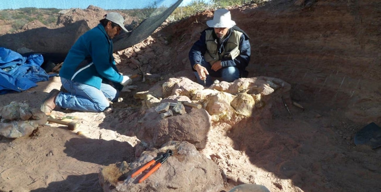 Hallazgo en Neuquén: científicos del Conicet descubren un dinosaurio gigante de 12 metros
