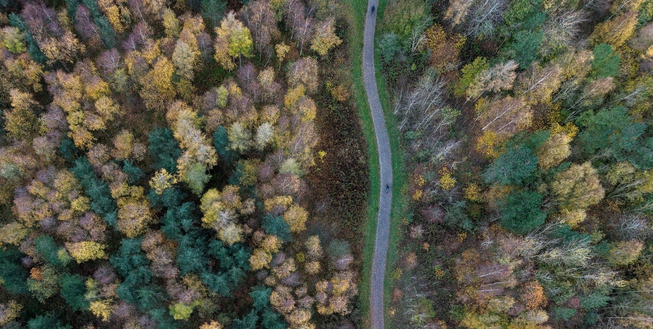 Mercados de carbono: una oportunidad económica que Argentina puede aprovechar