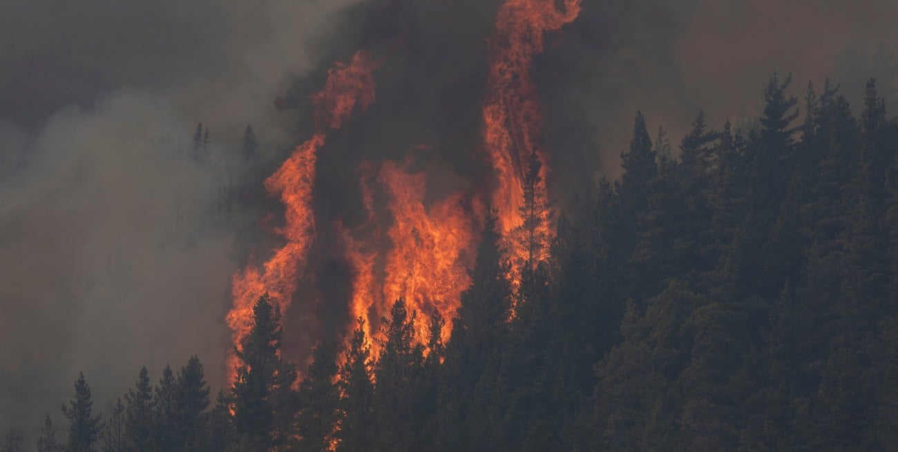Chubut: el gobernador impulsa la figura de "ecocidio" y destacó el apoyo nacional