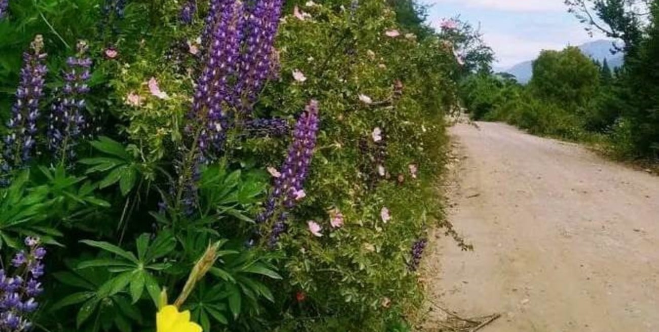 Con la intensidad del sol 