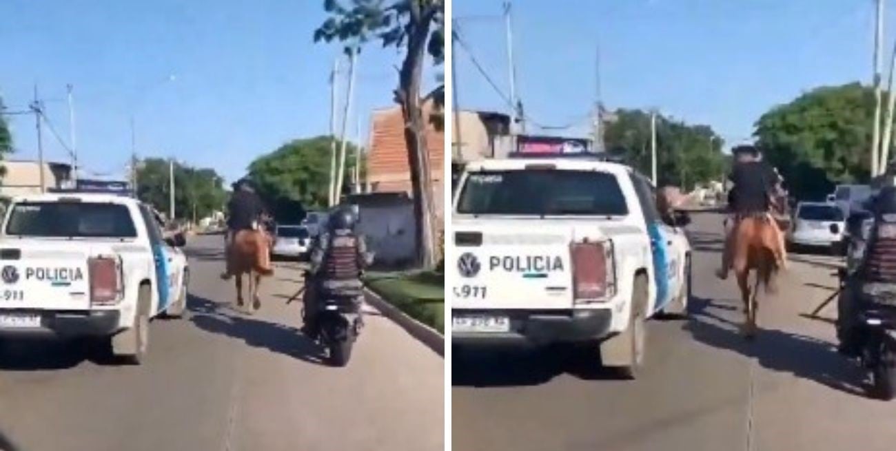 Bernal: robaban montados a un caballo, escaparon al galope y terminaron detenidos