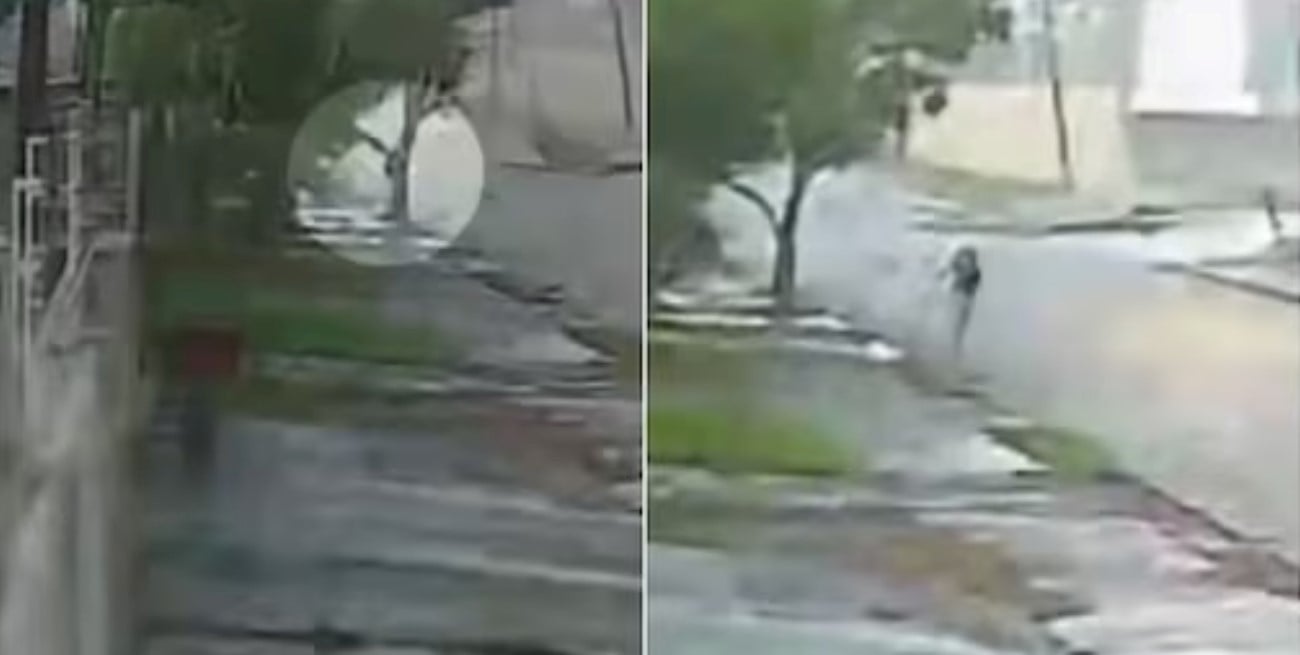 Brasil: una joven sobrevivió a un tornado al aferrarse a un árbol