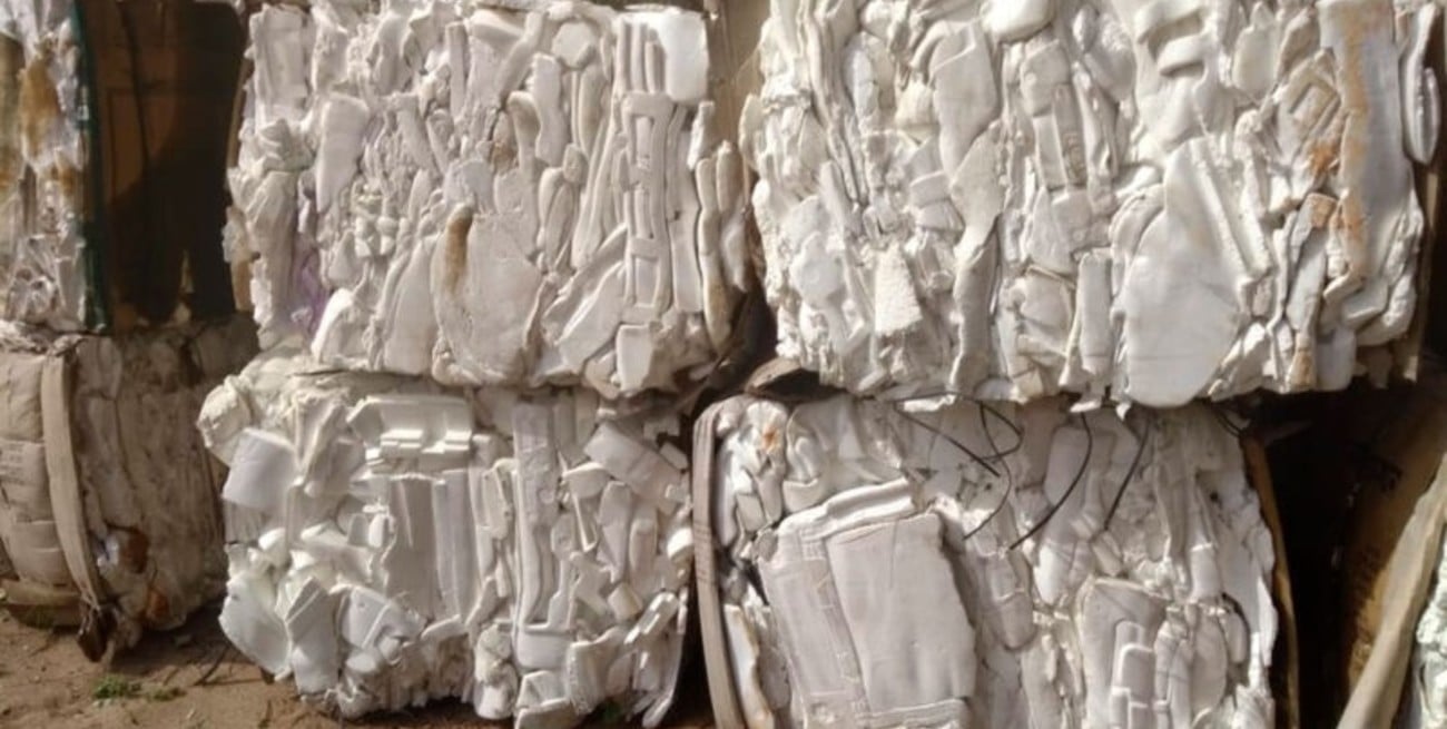 Desarrollan un telgopor ecológico a partir de cáscara de arroz y hongos