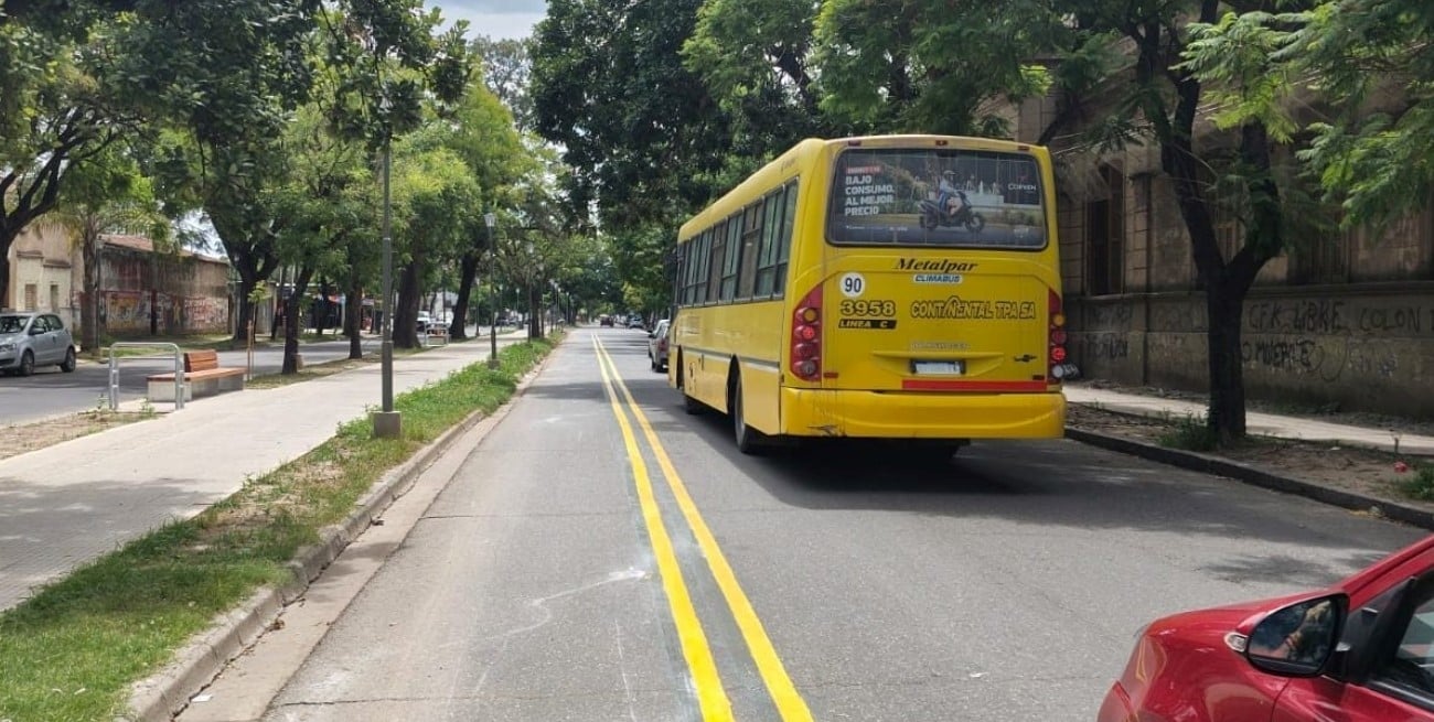 Cómo será la bicisenda que prepara el municipio en la Av. J.J. Paso
