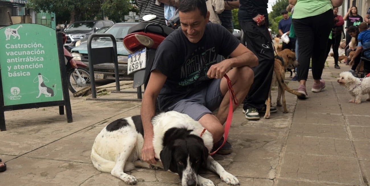 Castraciones gratuitas del Imusa en barrio San Lorenzo: cuándo, dónde y cómo acceder