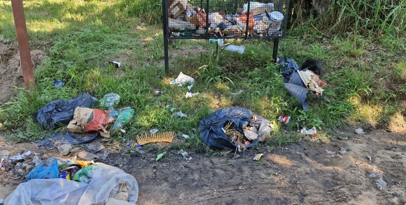 Basura, olores y moscas: el reclamo que crece en Colastiné detrás de la Escuela Roca