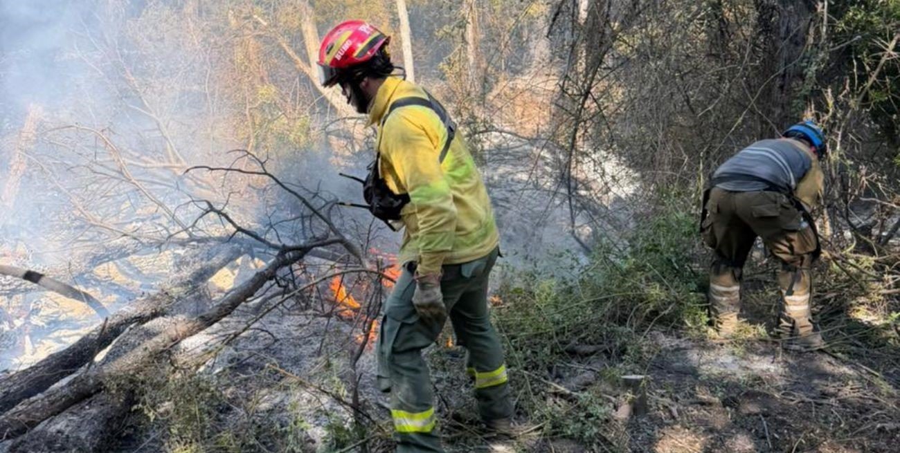 Reactivación de incendios en Chubut: condiciones climáticas complican el control del fuego