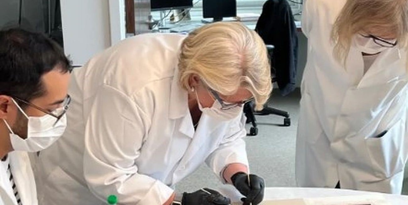 Investigadores buscan el ADN de Leonardo da Vinci en sus obras y documentos