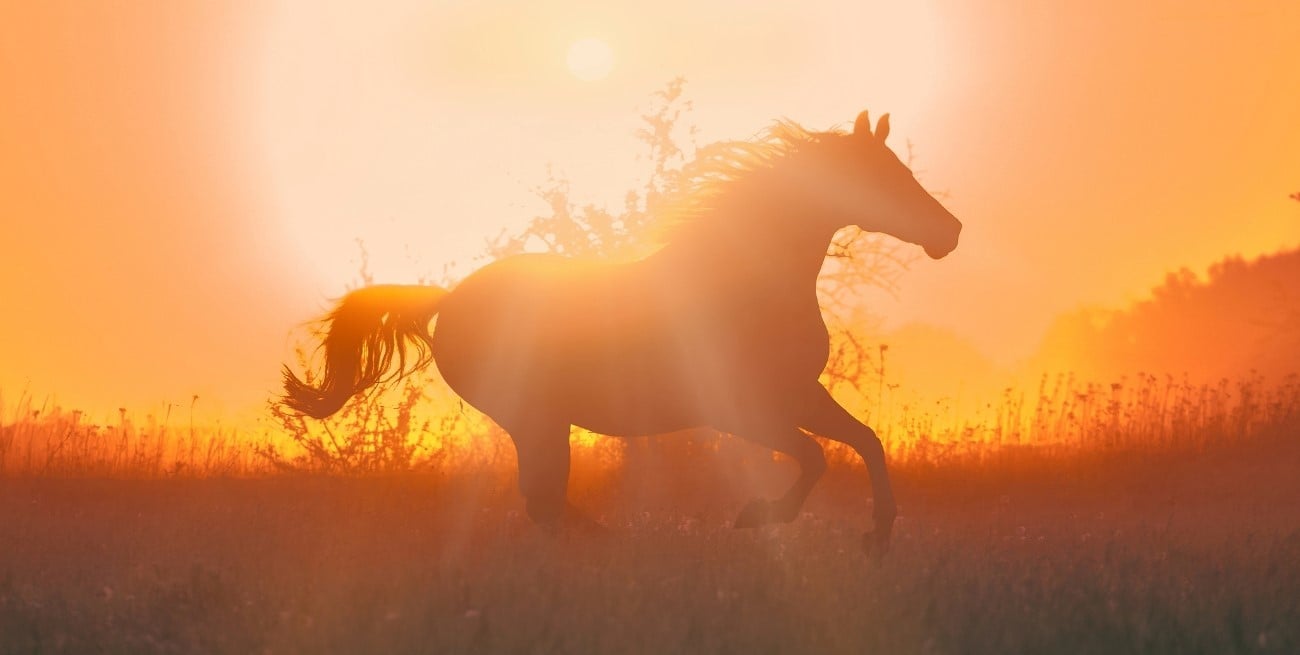 Cuándo comienza el Año del Caballo de Fuego 2026 y qué simboliza