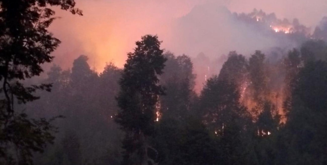 Se reavivan incendios en Chubut: focos activos en el Parque Nacional Los Alerces